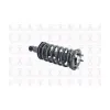 FCS Automotive Suspension Strut and Coil Spring Assembly FCS-1345497