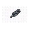 FCS Automotive Suspension Strut and Coil Spring Assembly FCS-1345497