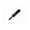 FCS Automotive Suspension Strut and Coil Spring Assembly FCS-1355003