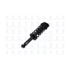 FCS Automotive Suspension Strut and Coil Spring Assembly FCS-1355004