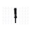FCS Automotive Suspension Strut and Coil Spring Assembly FCS-1355005