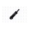 FCS Automotive Suspension Strut and Coil Spring Assembly FCS-1355005