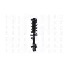 FCS Automotive Suspension Strut and Coil Spring Assembly FCS-2333969R