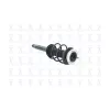 FCS Automotive Suspension Strut and Coil Spring Assembly FCS-2335564R
