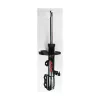 FCS Automotive Suspension Strut Assembly FCS-331601L