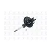 FCS Automotive Suspension Strut Assembly FCS-331619R