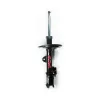 FCS Suspension Strut Assembly FCS-333393R