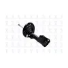 FCS FCS Automotive Suspension Strut Assembly FCS-334010R