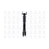 FCS FCS Automotive Suspension Strut Assembly FCS-342848