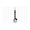 FCS FCS Automotive Suspension Strut Assembly FCS-345906R