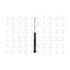 FCS Automotive Suspension Shock Absorber FCS-346212
