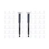 FCS Automotive Suspension Shock Absorber Assembly Kit FCS-8341979