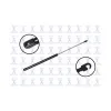 FCS Automotive Trunk Lid Lift Support FCS-84334