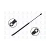 FCS Automotive Trunk Lid Lift Support FCS-84716