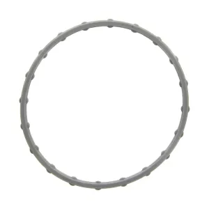 FEL-PRO Fuel Injection Throttle Body Mounting Gasket FEL-61566