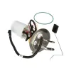 Delphi Fuel Pump Module Assembly FG1197