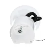 Delphi Fuel Pump Module Assembly FG1525