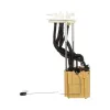 Delphi Fuel Pump Module Assembly FG2259