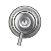 Delphi Fuel Injection Pressure Regulator FP10317