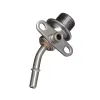 Delphi Fuel Injection Pressure Regulator FP10461