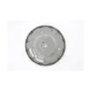 Transtar Flexplate G173