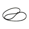 Gates Serpentine Belt GAT-2PJ860