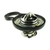 Gates Engine Coolant Thermostat GAT-33917S
