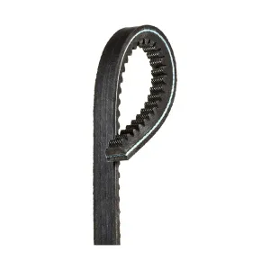 Gates Accessory Drive Belt GAT-AX31