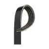 Gates Serpentine Belt GAT-K040292RPM