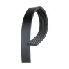 Gates Serpentine Belt GAT-K060970