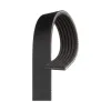 Gates Serpentine Belt GAT-K061031RPM