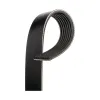 Gates Serpentine Belt GAT-K070810RPM