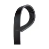 Gates Serpentine Belt GAT-K071157