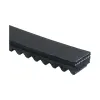 Gates Accessory Drive Belt GAT-TR28786