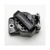 Delphi Ignition Coil GN10123