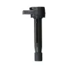 Delphi Ignition Coil GN10168
