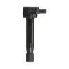 Delphi Ignition Coil GN10168
