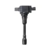 Delphi Ignition Coil GN10241