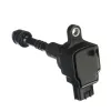Delphi Ignition Coil GN10250