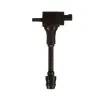 Delphi Ignition Coil GN10250