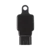 Delphi Ignition Coil GN10250