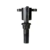 Delphi Ignition Coil GN10300