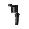 Delphi Ignition Coil GN10300