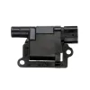 Delphi Ignition Coil GN10303