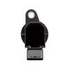 Delphi Ignition Coil GN10313