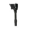 Delphi Ignition Coil GN10882