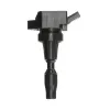 Delphi Ignition Coil GN10910