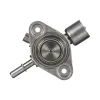 Delphi Direct Injection High Pressure Fuel Pump HM10034