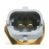 Delphi Engine Intake Manifold Temperature Sensor HTS128