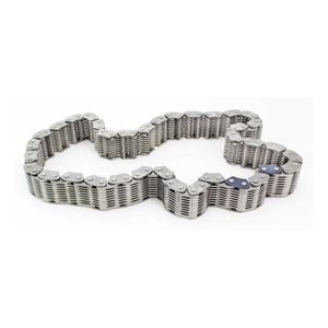 BorgWarner Chain HV-025